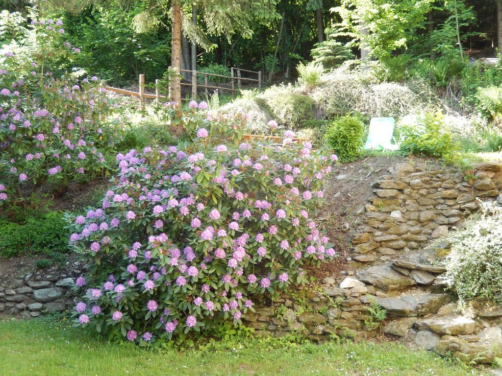 Haus Am Wald Apartment Steindorf am Ossiacher See Bagian luar foto